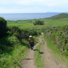 GirlsWildCat 030 : GirlsWildCat